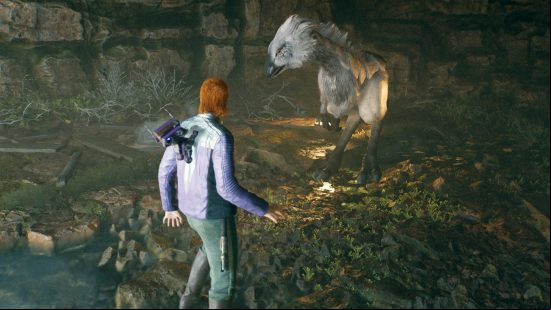 Cal Kestis walks up to a Nekko, a feathery bird-like creature, and one of the Jedi Survivor mounts.