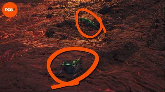 Two Ember Tufflizard are circled.
